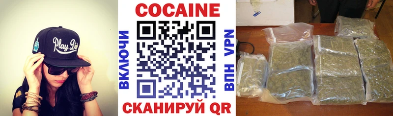 где купить Томмот Cocaine 99%