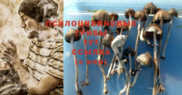 таблы Аркадак