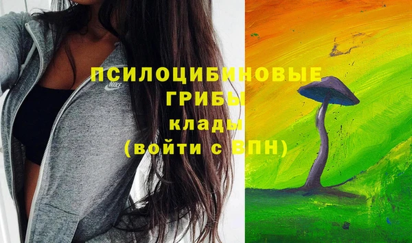 мдпв Арсеньев