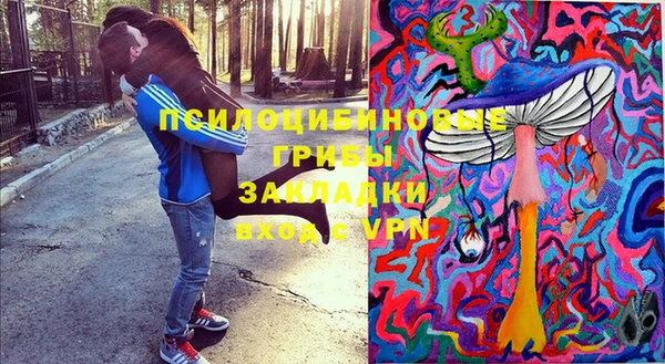 мдпв Арсеньев