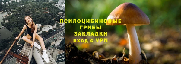 таблы Аркадак