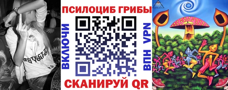 где найти   Томмот  Псилоцибиновые грибы Psilocybine cubensis 